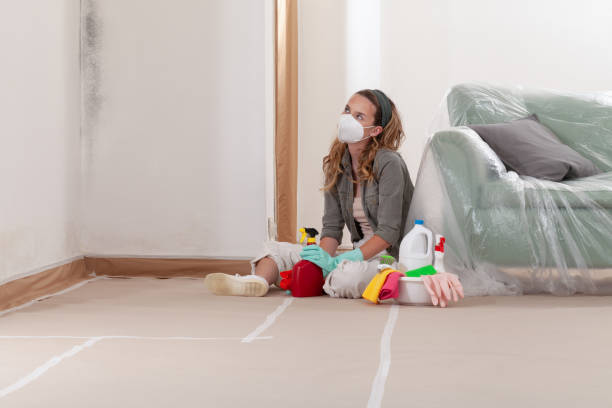Reliable Commercial Mold Remediation contractor in Bonney Lake, WA by WQB Mold Removal